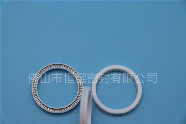 HOA、HVA轴用泛塞封 (16)