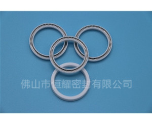 HOA、HVA轴用泛塞封 (13)