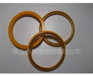 HOD、HVD旋转泛塞封 (8)