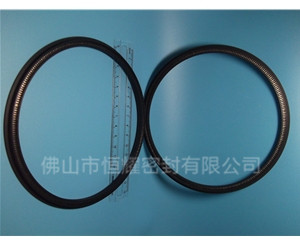 HOD、HVD旋转泛塞封 (13)
