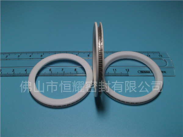 HVF、HVG端面内、外向泛塞封 (10)