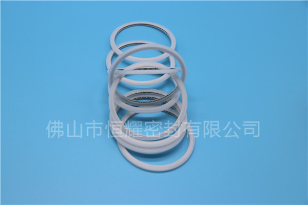 HVF、HVG端面内、外向泛塞封 (15)