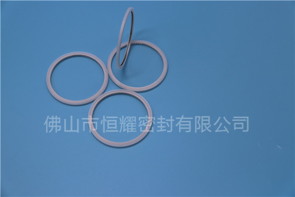HVF、HVG端面内、外向泛塞封 (20)