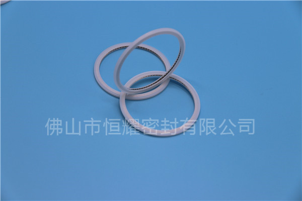 HVF、HVG端面内、外向泛塞封 (21)