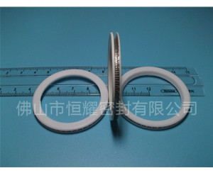 HVF、HVG端面内、外向泛塞封 (10)