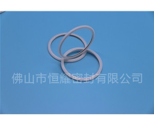 HVF、HVG端面内、外向泛塞封 (21)